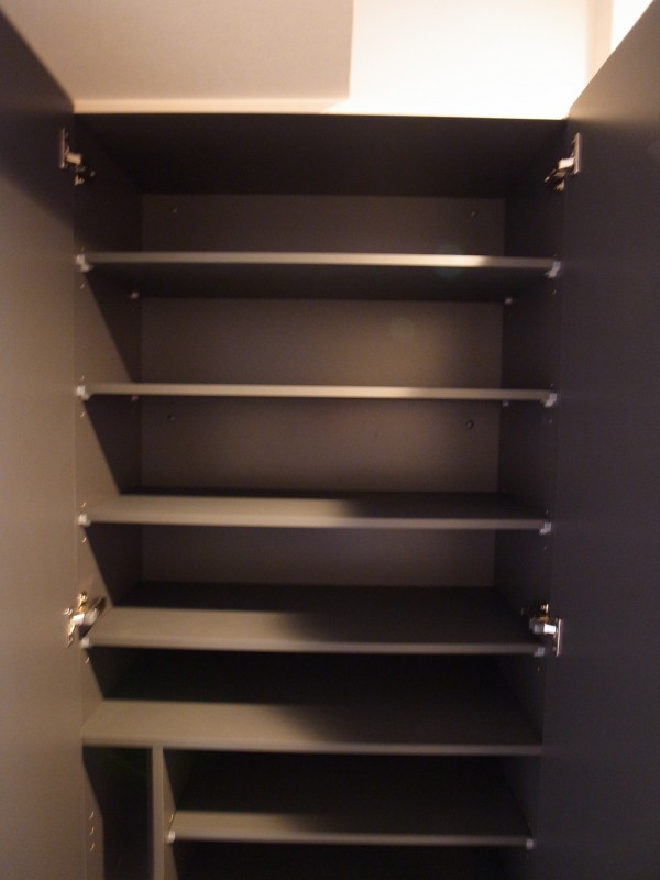 ロイジェント新高島平3階 収納