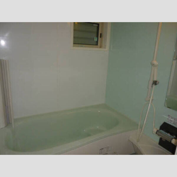 ソレアード・ミナミダ 101 浴室