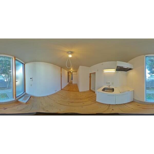 ニシオギソウ キッチン