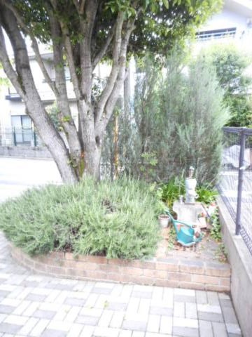 メイプル・ガーデン0105号室 庭