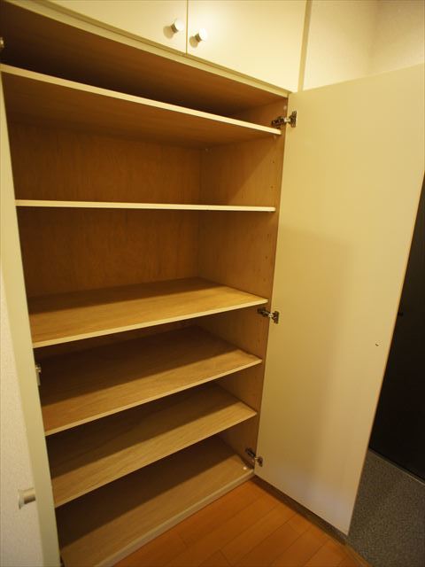 Ｃａｓａ．ａｖｉｒｉｏ0304号室 収納のためのスペースです