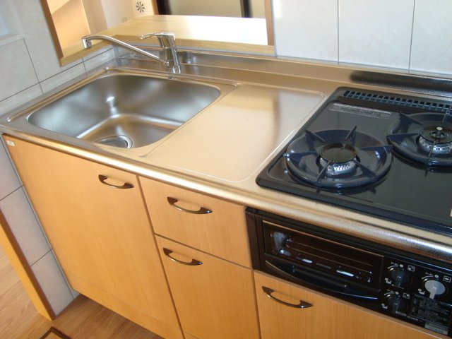 ヴィアーレ・ガーナ403号室 キッチン