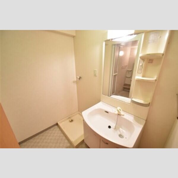 ベルシャイン厚木305号室 洗面室