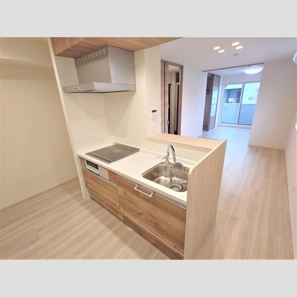 Asset-Court立川上砂町5丁目　A棟303号室 システムキッチン