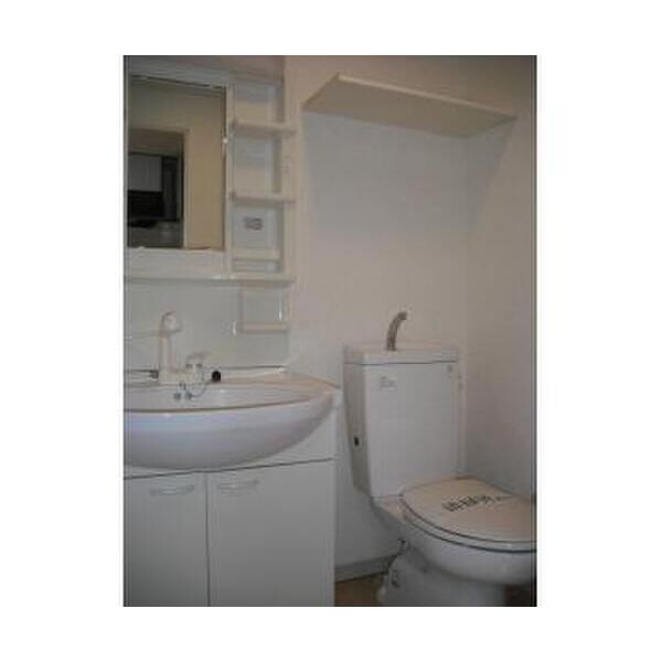 フォンターナ相模大野306号室 トイレ