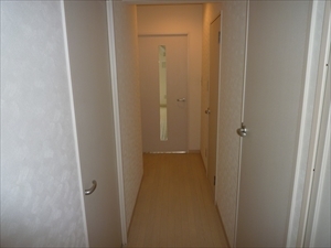 ホワイトヘイヴン0202号室 廊下