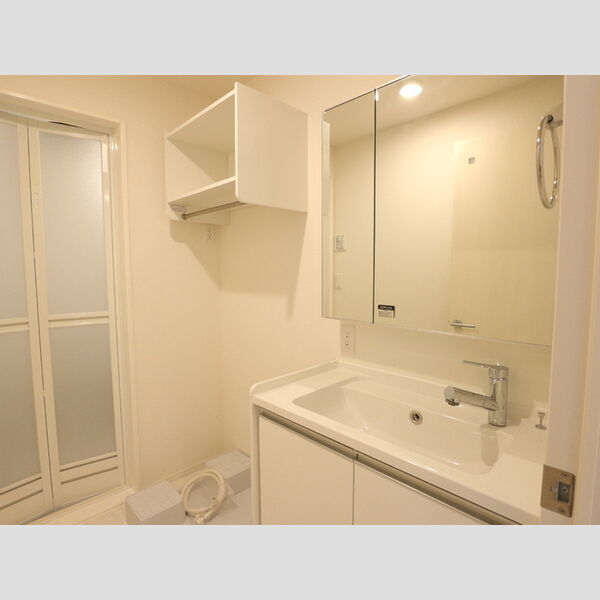 サンジェルマン中央林間2丁目202号室 洗面所