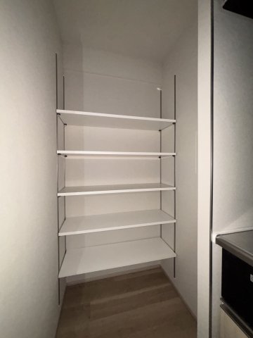 グランディアラフィーネ806号室 収納