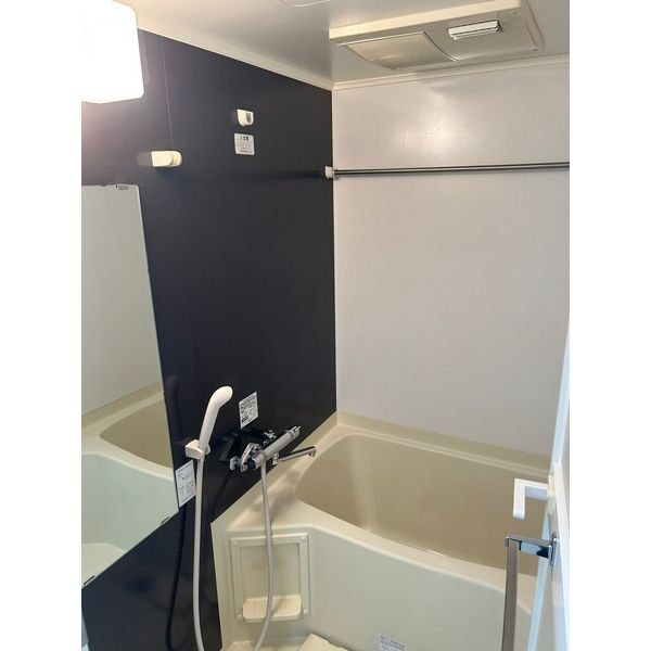 Rising Place石川町401号室 部屋その他