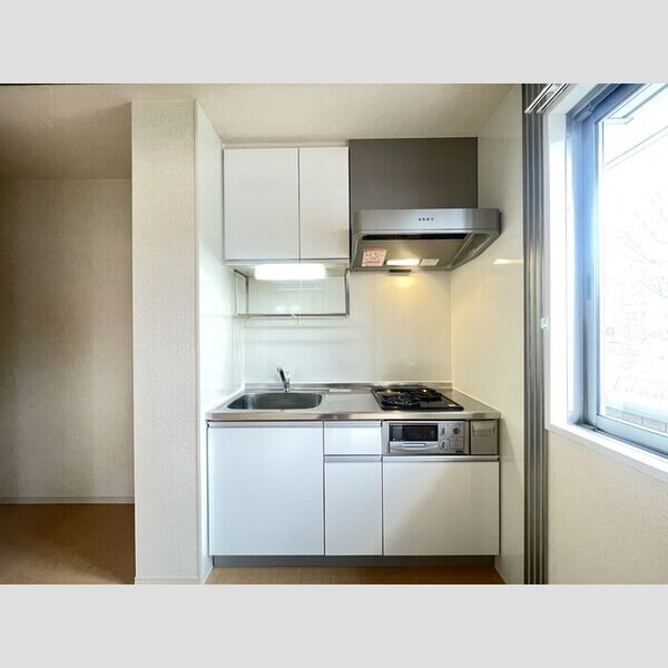 サニーフラット三ツ沢111号室 システムキッチン