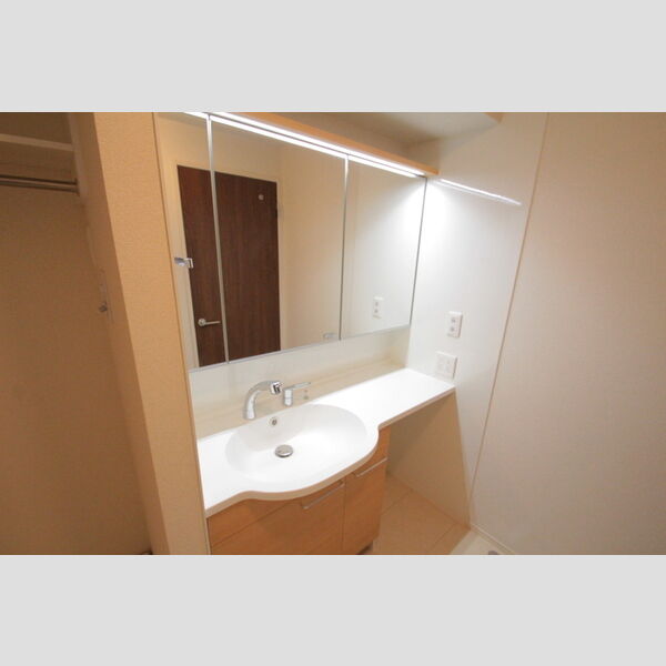 グランテージ 大型洗面洗髪化粧台