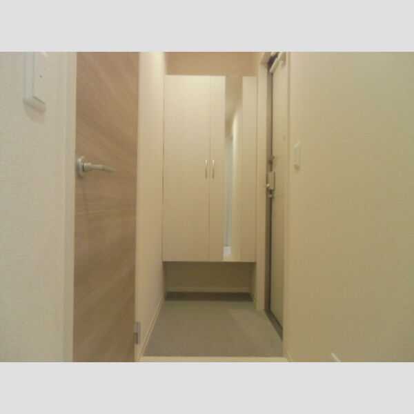 カメリアⅡ 玄関