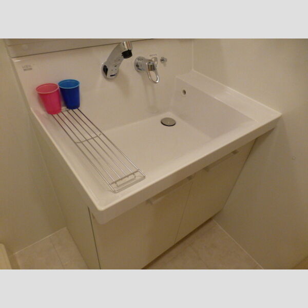 アルカディア湘南107号室 洗面