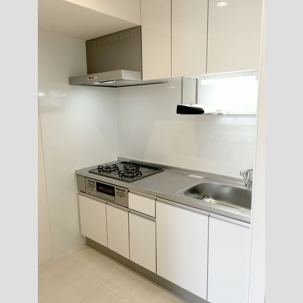 Droom SAKURA.B システムキッチン