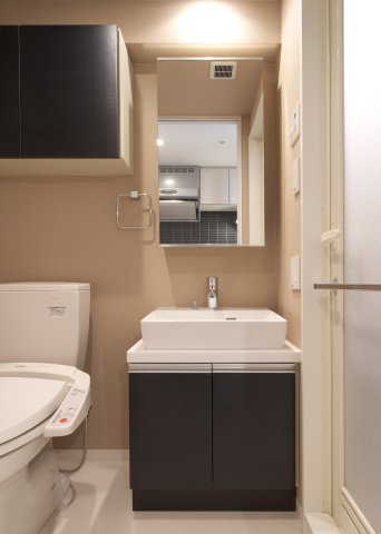 グラントゥルース大森ライズ902号室 洗面