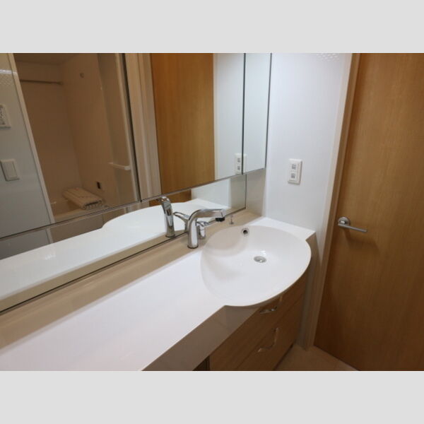 コンフォート プラス・T201号室 大きな鏡のシャンプードレッサー