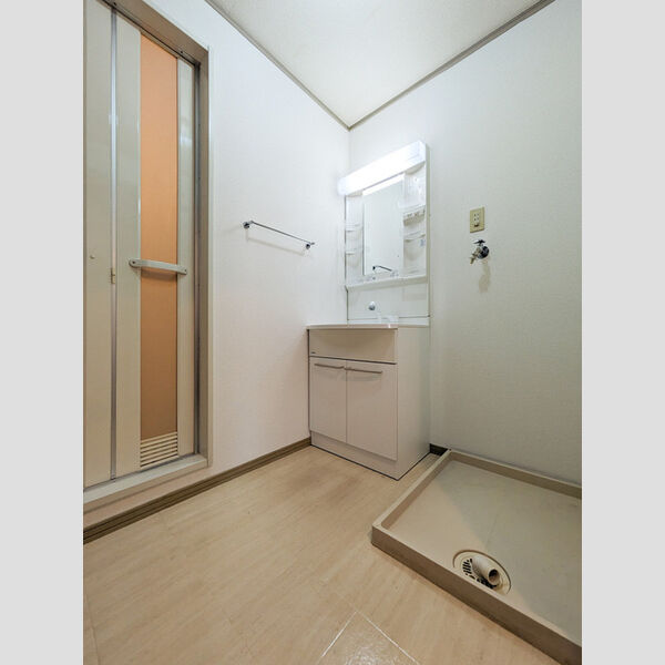 メゾン・ド・ヴェルテ201号室 洗面