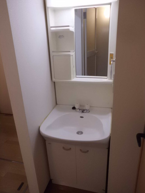 コスモ菊名0103号室 洗面