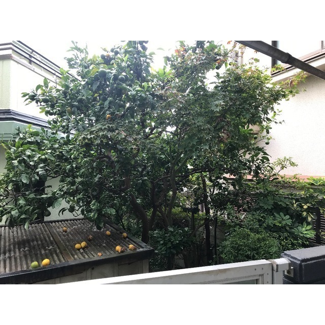 ウィンベルソロ平塚No.9103号室 部屋その他