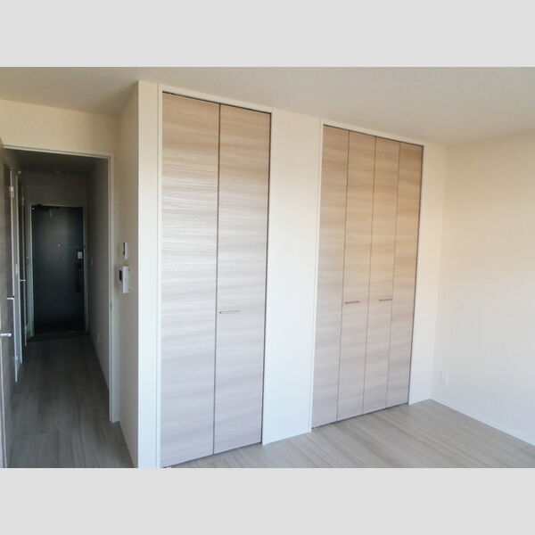 amuse301号室 LD収納