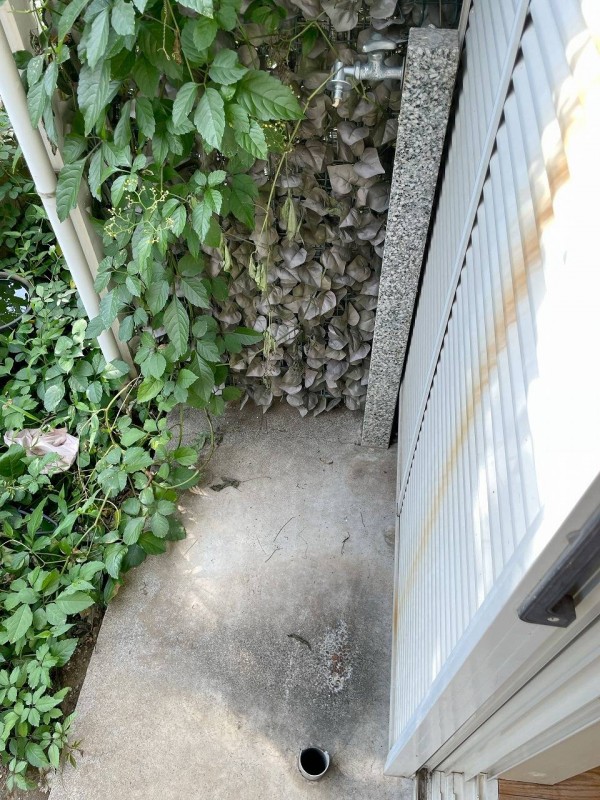 ヴィラアルカディア1階 部屋その他