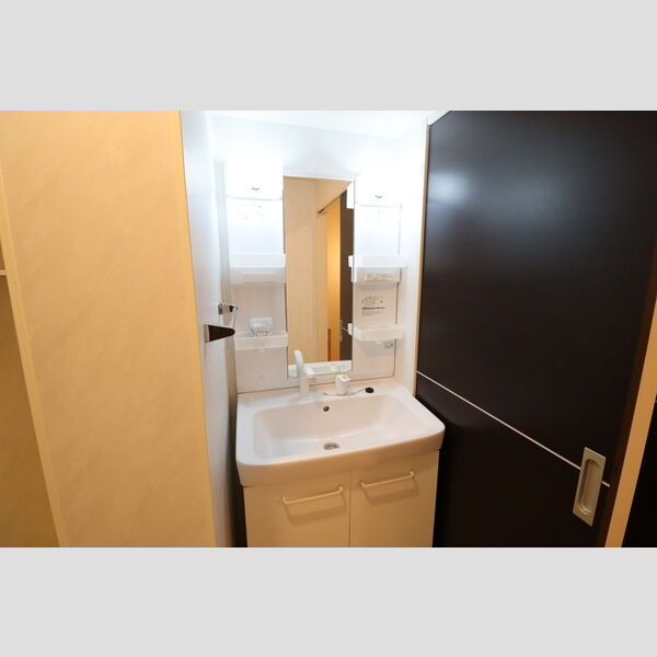 ピーノフォーリア　弐番館201号室 洗髪洗面化粧台