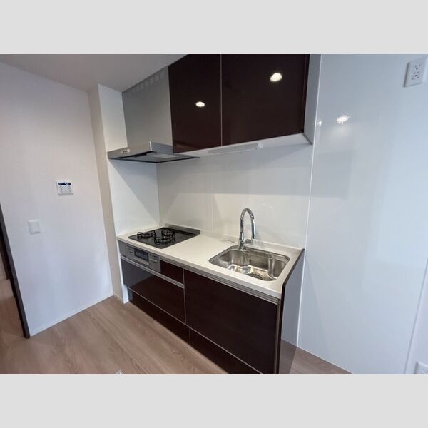 グラナーデ扇Ⅰ　C106号室 キッチン