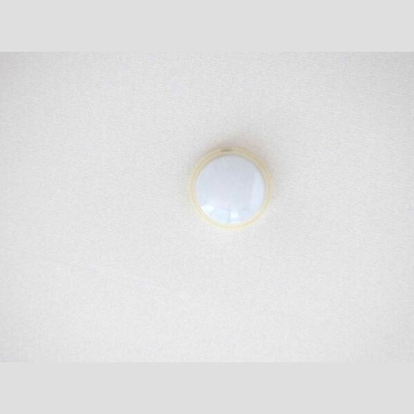 シャンティオン503号室 自動火災報知設備