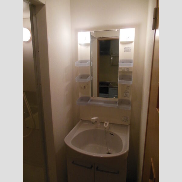 ルピナスコート柴崎302号室 洗面