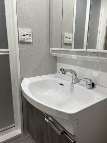 GRANPASEO文京小日向302号室 洗面
