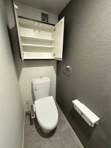 ベイルーム本厚木Norte303号室 トイレ