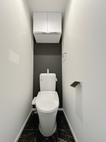 スカイルーチェ南浦和402号室 トイレ