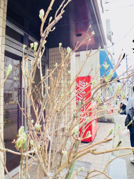 サンモール鈴木5階 部屋その他