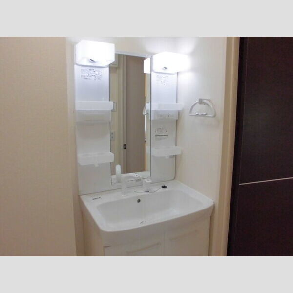 ハイツ幸 ハイツ幸101 洗髪洗面化粧台