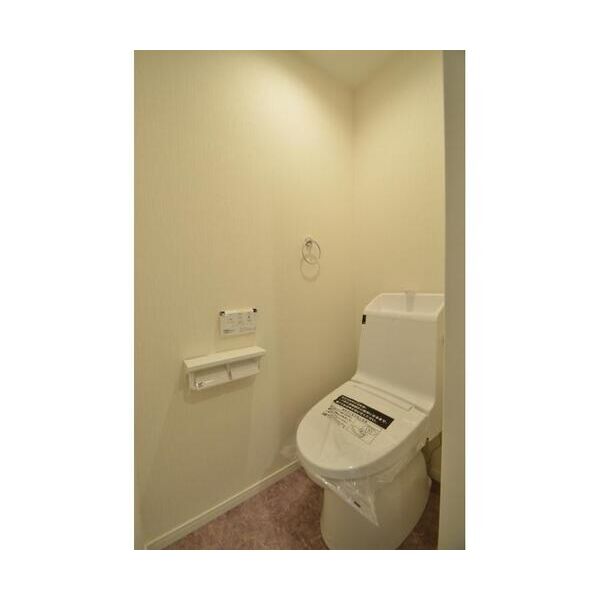 リオン・ドール203号室 トイレ
