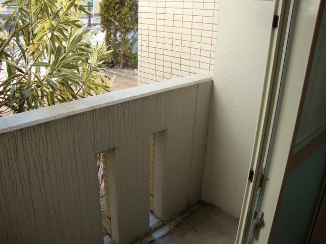 ＢＲＩＮＤＤＬＥ　ＣＯＵＲＴ301号室 ベランダ