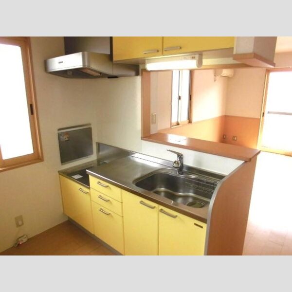 メゾンフラッシュ　Ⅱ201号室 対面キッチン