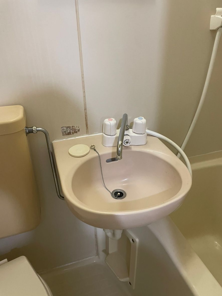 ハイツ平楽102号室 洗面
