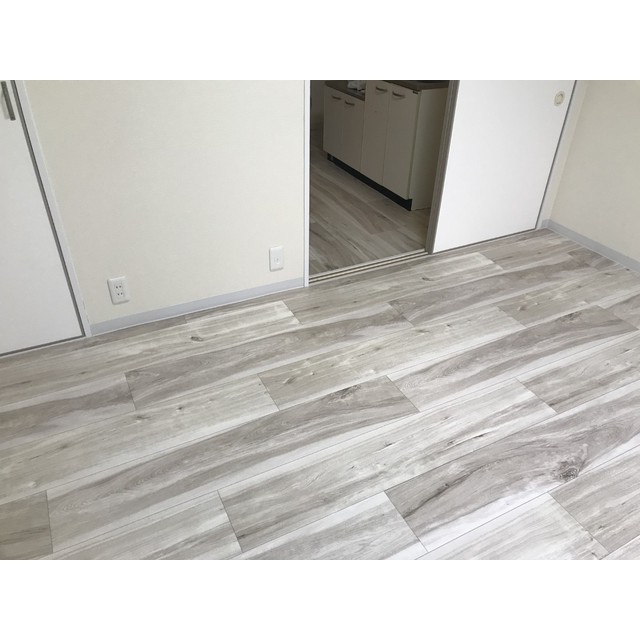 リエス伊勢原301号室 リビング