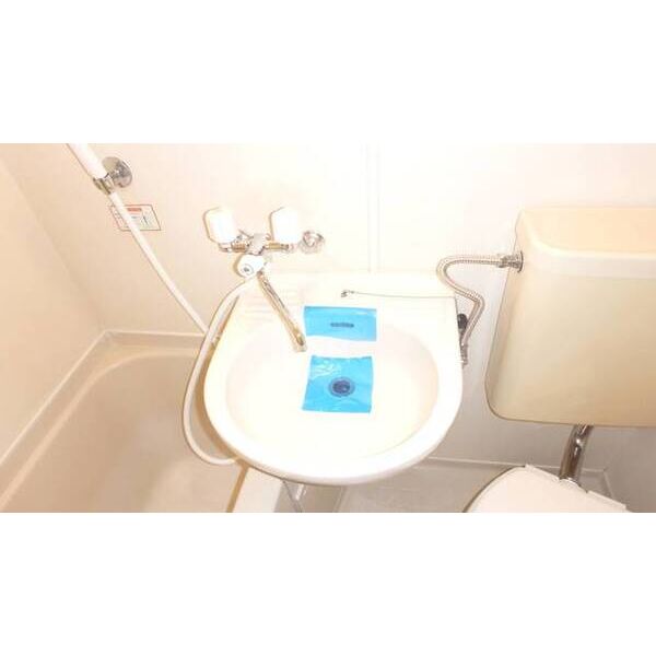 サンホワイト富士見 洗面