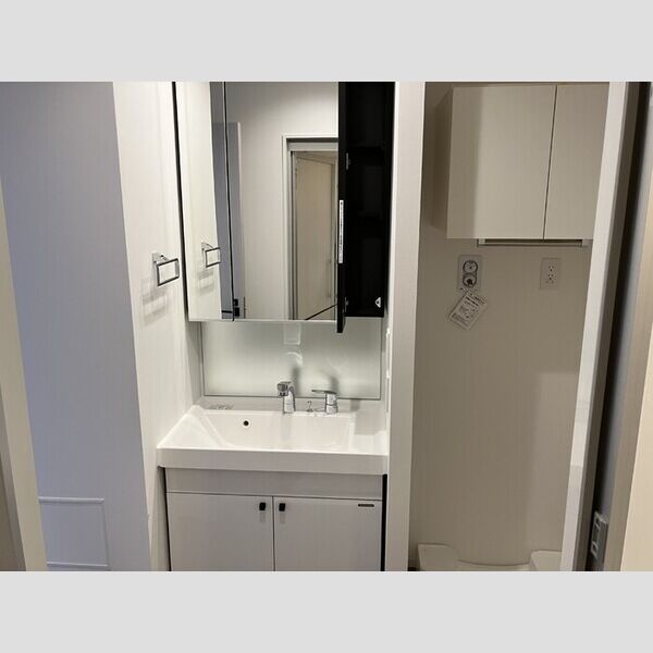 THE RejuvePort KISARAZU0602号室 洗髪洗面化粧台