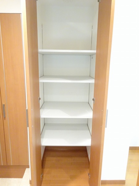 日神デュオステージ上板橋301号室 収納