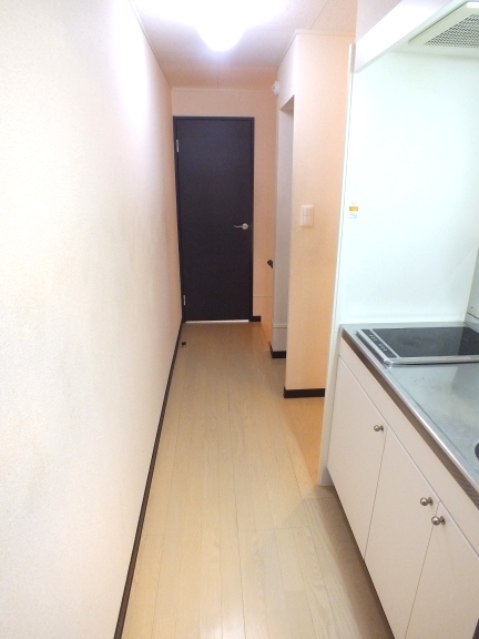 レオネクストサンハイツＤ203号室 玄関