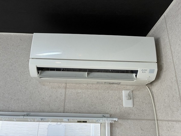 グリーンハイツ西町111号室 部屋その他