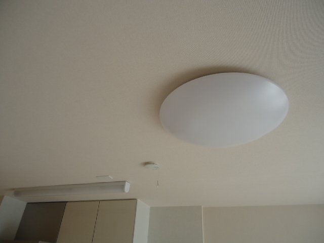 アメイジア（ameijia）玉川学園303号室 照明器具