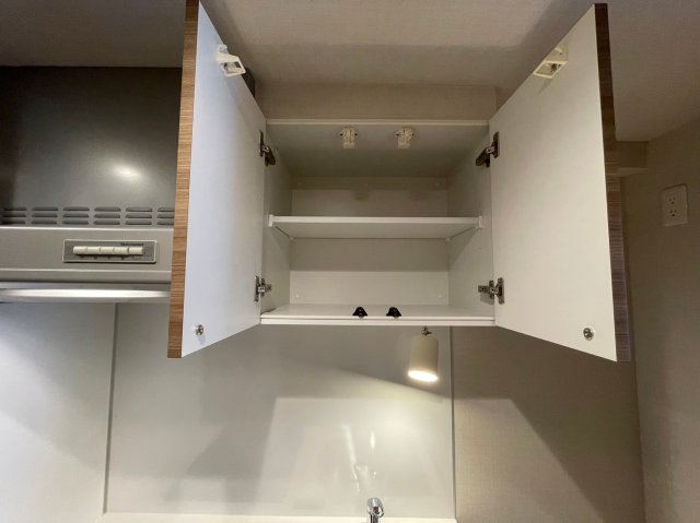 DIPS大山東町2303号室 キッチン