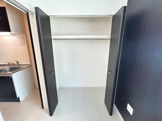 OceanCoastTsudanuma（オーシャンコーストツダヌマ）207号室 クローゼット