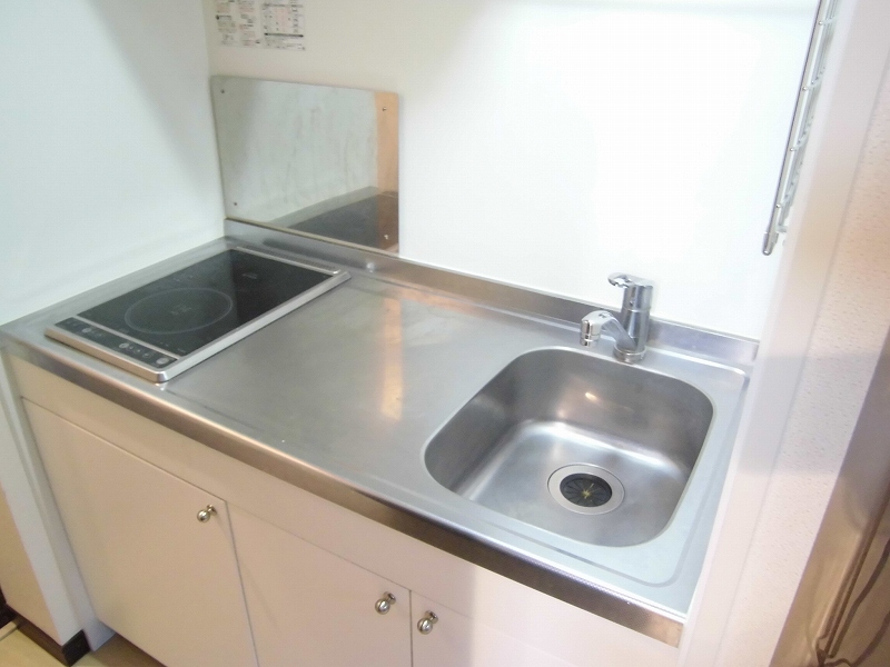 レオネクストｗｉｎ　ｂｏｏｍ209号室 キッチン