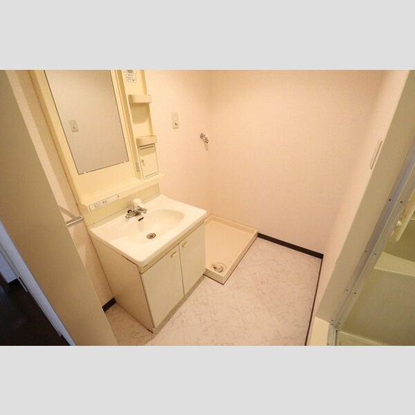 メゾン・リヴィエール301号室 洗面室