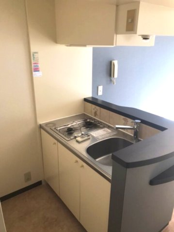 ワコーレエレガンス本郷台302号室 キッチン